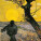 NOTIQUE Poznámkový kalendár Vincent van Gogh 2027, 30 x 30 cm - pgp-36328-v_10 - variant Pg PGP-36328-V
