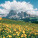 NOTIQUE Poznámkový kalendár Alpy 2027, 30 x 30 cm - pgp-36332-v_05 - variant Pg PGP-36332-V