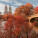 NOTIQUE Poznámkový kalendár New York 2027, 30 x 30 cm - pgp-36336-v_11 - variant Pg PGP-36336-V