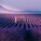 NOTIQUE Poznámkový kalendár Provence 2027, 30 x 30 cm - pgp-36339-v_01 - variant Pg PGP-36339-V