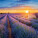 NOTIQUE Poznámkový kalendár Provence 2027, 30 x 30 cm - pgp-36339-v_09 - variant Pg PGP-36339-V