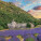 NOTIQUE Poznámkový kalendár Provence 2027, 30 x 30 cm - pgp-36339-v_10 - variant Pg PGP-36339-V