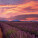 NOTIQUE Poznámkový kalendár Provence 2027, 30 x 30 cm - pgp-36339-v_11 - variant Pg PGP-36339-V