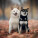 NOTIQUE Poznámkový kalendár Happy Doge 2027, 30 x 30 cm - pgp-36617-v_01 - variant Pg PGP-36617-V