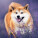 NOTIQUE Poznámkový kalendár Happy Doge 2027, 30 x 30 cm - pgp-36617-v_07 - variant Pg PGP-36617-V