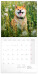 NOTIQUE Poznámkový kalendár Happy Doge 2027, 30 x 30 cm - pgp-36617-z_kal - variant Pg PGP-36617-Z