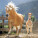 NOTIQUE Poznámkový kalendár Kone – Christiane Slawik 2027, 30 x 30 cm - pgp-36821-v_02 - variant Pg PGP-36821-V