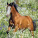 NOTIQUE Poznámkový kalendár Kone – Christiane Slawik 2027, 30 x 30 cm - pgp-36821-v_04 - variant Pg PGP-36821-V
