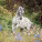 NOTIQUE Poznámkový kalendár Kone – Christiane Slawik 2027, 30 x 30 cm - pgp-36821-v_09 - variant Pg PGP-36821-V