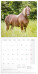 NOTIQUE Poznámkový kalendár Kone – Christiane Slawik 2027, 30 x 30 cm - pgp-36821-v_kal - variant Pg PGP-36821-V