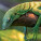 NOTIQUE Poznámkový kalendár Jaštery 2027, 30 x 30 cm - pgp-36826-v_03 - variant Pg PGP-36826-V