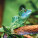NOTIQUE Poznámkový kalendár Jaštery 2027, 30 x 30 cm - pgp-36826-v_09 - variant Pg PGP-36826-V