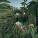 NOTIQUE Poznámkový kalendár Henri Rousseau 2027, 30 x 30 cm - pgp-36994-v_09 - variant Pg PGP-36994-V