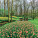 NOTIQUE Poznámkový kalendár Záhrady 2027, 30 x 30 cm - pgp-36831-v_04 - variant Pg PGP-36831-V
