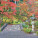 NOTIQUE Poznámkový kalendár Záhrady 2027, 30 x 30 cm - pgp-36831-v_11 - variant Pg PGP-36831-V