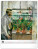 NOTIQUE Nástenný kalendár Impresionizmus 2027, 48 x 56 cm - pgn-36363-l_06 - variant Pg PGN-36363-L