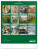 NOTIQUE Nástenný kalendár Impresionizmus 2027, 48 x 56 cm - pgn-36363-l_zad - variant Pg PGN-36363-L