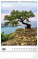 NOTIQUE Nástenný kalendár Stromy 2027, 33 x 46 cm - pgn-36376-l_02 - variant Pg PGN-36376-L