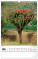 NOTIQUE Nástenný kalendár Stromy 2027, 33 x 46 cm - pgn-36376-l_06 - variant Pg PGN-36376-L