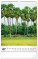 NOTIQUE Nástenný kalendár Stromy 2027, 33 x 46 cm - pgn-36376-l_07 - variant Pg PGN-36376-L