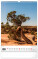 NOTIQUE Nástenný kalendár Stromy 2027, 33 x 46 cm - pgn-36376-l_08 - variant Pg PGN-36376-L