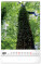 NOTIQUE Nástenný kalendár Stromy 2027, 33 x 46 cm - pgn-36376-l_09 - variant Pg PGN-36376-L