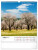 NOTIQUE Nástenný kalendár Potulky moravskou krajinou CZ 2027, 30 x 34 cm - pgn-36869-l_04 - variant Pg PGN-36869-L