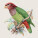 NOTIQUE Poznámkový kalendár Vtáčiky 2027, PLASTIC FREE, 30 x 30 cm - pgp-36977_06 - variant Pg PGP-36977