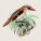 NOTIQUE Poznámkový kalendár Vtáčiky 2027, PLASTIC FREE, 30 x 30 cm - pgp-36977_07 - variant Pg PGP-36977