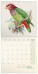 NOTIQUE Poznámkový kalendár Vtáčiky 2027, PLASTIC FREE, 30 x 30 cm - pgp-36977_kal - variant Pg PGP-36977