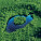 NOTIQUE Poznámkový kalendár Naša planéta 2027, PLASTIC FREE, 30 x 30 cm - pgp-36978_03 - variant Pg PGP-36978