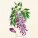NOTIQUE Poznámkový kalendár Herbár Plastic FREE 2027, PLASTIC FREE, 30 x 30 cm - pgp-36979_06 - variant Pg PGP-36979