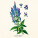 NOTIQUE Poznámkový kalendár Herbár Plastic FREE 2027, PLASTIC FREE, 30 x 30 cm - pgp-36979_09 - variant Pg PGP-36979