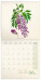 NOTIQUE Poznámkový kalendár Herbár Plastic FREE 2027, PLASTIC FREE, 30 x 30 cm - pgp-36979_kal - variant Pg PGP-36979