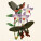 NOTIQUE Poznámkový kalendár Motýle FREE 2027, PLASTIC FREE, 30 x 30 cm - pgp-36980_02 - variant Pg PGP-36980