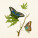 NOTIQUE Poznámkový kalendár Motýle FREE 2027, PLASTIC FREE, 30 x 30 cm - pgp-36980_04 - variant Pg PGP-36980