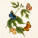 NOTIQUE Poznámkový kalendár Motýle FREE 2027, PLASTIC FREE, 30 x 30 cm - pgp-36980_09 - variant Pg PGP-36980