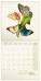 NOTIQUE Poznámkový kalendár Motýle FREE 2027, PLASTIC FREE, 30 x 30 cm - pgp-36980_kal - variant Pg PGP-36980