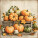 NOTIQUE Poznámkový kalendár Farmárske trhy 2027, PLASTIC FREE, 30 x 30 cm - pgp-36981_10 - variant Pg PGP-36981