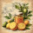 NOTIQUE Poznámkový kalendár Farmárske trhy 2027, PLASTIC FREE, 30 x 30 cm - pgp-36981_12 - variant Pg PGP-36981