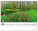 NOTIQUE Nástenný kalendár Záhrady 2027, 48 x 33 cm - pgn-36372-l_03 - variant Pg PGN-36372-L