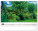 NOTIQUE Nástenný kalendár Záhrady 2027, 48 x 33 cm - pgn-36372-l_08 - variant Pg PGN-36372-L