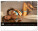 Nástenný kalendár Summer Paradise 2027, 48 x 33 cm - pgn-36384-l_02 - variant Pg PGN-36384-L