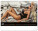 Nástenný kalendár Summer Paradise 2027, 48 x 33 cm - pgn-36384-l_07 - variant Pg PGN-36384-L