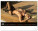 Nástenný kalendár Summer Paradise 2027, 48 x 33 cm - pgn-36384-l_09 - variant Pg PGN-36384-L