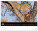 NOTIQUE Nástenný kalendár Živá Afrika 2027, 48 x 33 cm - pgn-36381-l_05 - variant Pg PGN-36381-L