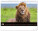 NOTIQUE Nástenný kalendár Živá Afrika 2027, 48 x 33 cm - pgn-36381-l_08 - variant Pg PGN-36381-L