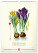 NOTIQUE Nástenný kalendár Vintage plagáty – herbár 2027, 33 x 46 cm - pgn-36362_03 - variant Pg PGN-36362