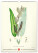 NOTIQUE Nástenný kalendár Vintage plagáty – herbár 2027, 33 x 46 cm - pgn-36362_04 - variant Pg PGN-36362