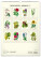 NOTIQUE Nástenný kalendár Vintage plagáty – herbár 2027, 33 x 46 cm - pgn-36362_zad - variant Pg PGN-36362